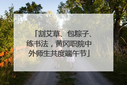 割艾草、包粽子、练书法，黄冈职院中外师生共度端午节