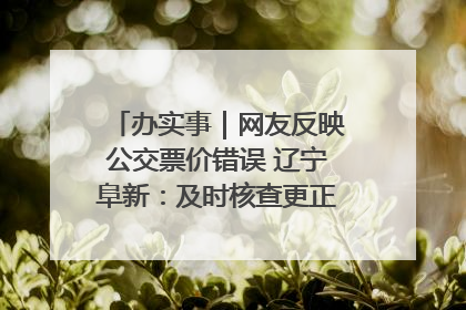办实事｜网友反映公交票价错误 辽宁阜新：及时核查更正 加强实时巡检