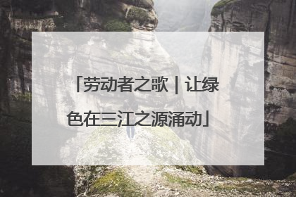 劳动者之歌｜让绿色在三江之源涌动