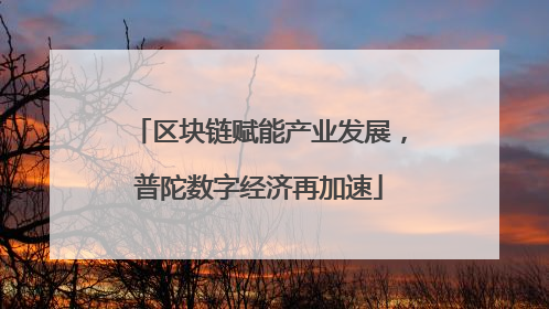 区块链赋能产业发展，普陀数字经济再加速