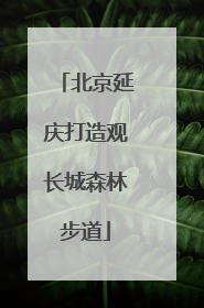 北京延庆打造观长城森林步道