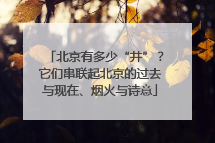 北京有多少“井”？它们串联起北京的过去与现在、烟火与诗意