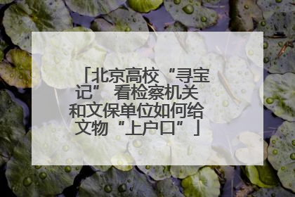 北京高校“寻宝记” 看检察机关和文保单位如何给文物“上户口”
