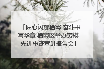 匠心闪耀栖霞 奋斗书写华章 栖霞区举办劳模先进事迹宣讲报告会