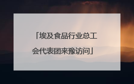 埃及食品行业总工会代表团来豫访问