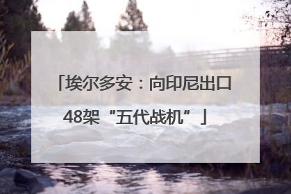 埃尔多安：向印尼出口48架“五代战机”