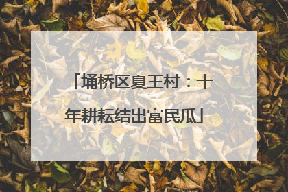 埇桥区夏王村：十年耕耘结出富民瓜