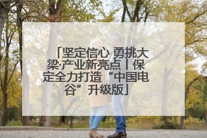 坚定信心 勇挑大梁·产业新亮点丨保定全力打造“中国电谷”升级版
