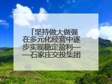 坚持做大做强 在多元化经营中逐步实现稳定盈利——石家庄交投集团做优做强典型报道之三