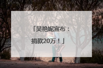 吴艳妮宣布：捐款20万！