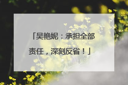 吴艳妮：承担全部责任，深刻反省！