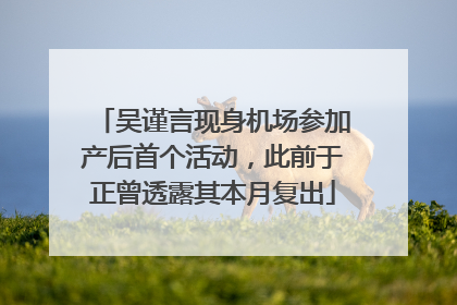 吴谨言现身机场参加产后首个活动，此前于正曾透露其本月复出