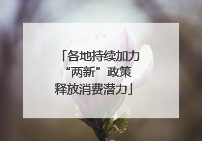 各地持续加力“两新”政策 释放消费潜力