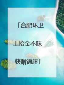 合肥环卫工拾金不昧获赠锦旗