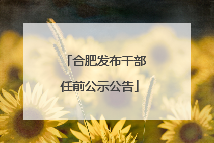 合肥发布干部任前公示公告