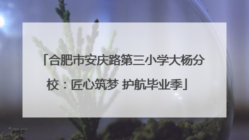 合肥市安庆路第三小学大杨分校：匠心筑梦 护航毕业季