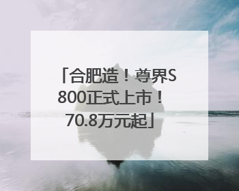 合肥造！尊界S800正式上市！70.8万元起
