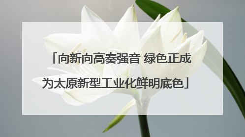 向新向高奏强音 绿色正成为太原新型工业化鲜明底色