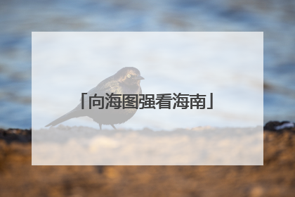 向海图强看海南