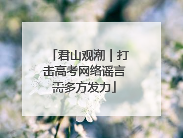 君山观潮｜打击高考网络谣言需多方发力