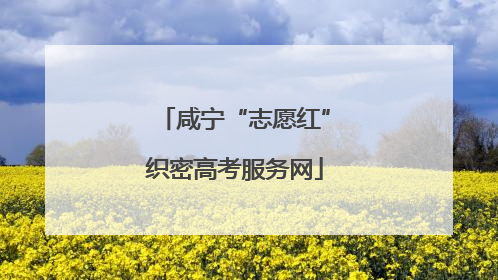 咸宁“志愿红”织密高考服务网