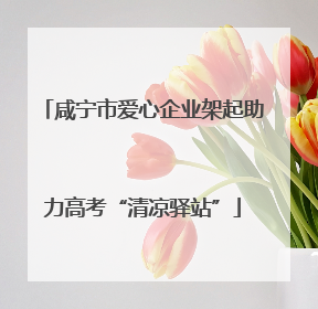咸宁市爱心企业架起助力高考“清凉驿站”