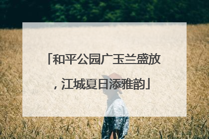和平公园广玉兰盛放，江城夏日添雅韵