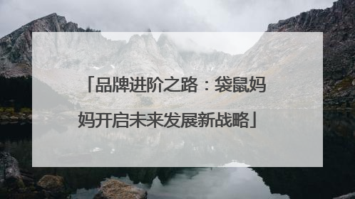 品牌进阶之路：袋鼠妈妈开启未来发展新战略