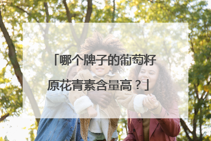 哪个牌子的葡萄籽原花青素含量高？