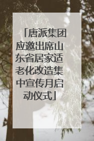 唐派集团应邀出席山东省居家适老化改造集中宣传月启动仪式