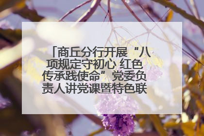 商丘分行开展“八项规定守初心 红色传承践使命”党委负责人讲党课暨特色联合党建活动