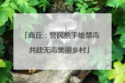 商丘：警民携手绘禁毒 共建无毒美丽乡村
