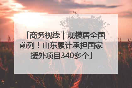 商务视线｜规模居全国前列！山东累计承担国家援外项目340多个