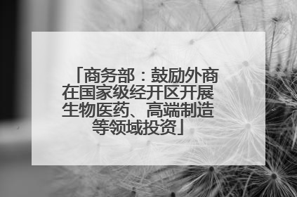 商务部：鼓励外商在国家级经开区开展生物医药、高端制造等领域投资
