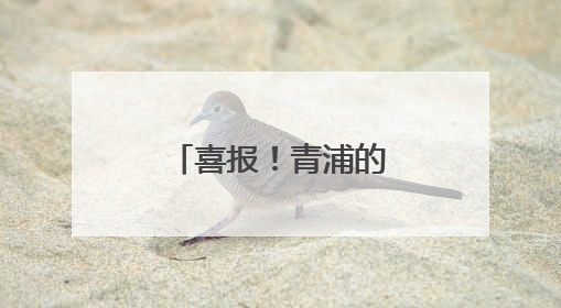 喜报！青浦的他们获表彰