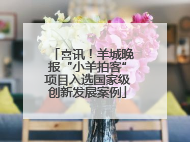 喜讯！羊城晚报“小羊拍客”项目入选国家级创新发展案例