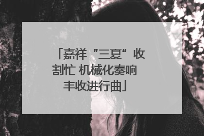 嘉祥“三夏”收割忙 机械化奏响丰收进行曲