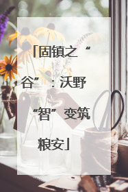 固镇之“谷”：沃野“智”变筑粮安