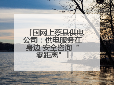 国网上蔡县供电公司：供电服务在身边 安全咨询“零距离”