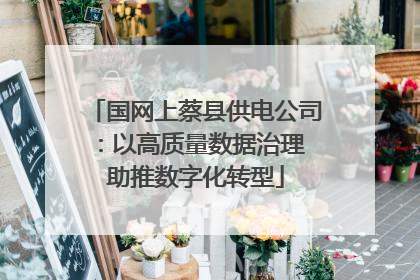 国网上蔡县供电公司：以高质量数据治理 助推数字化转型