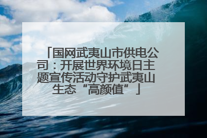 国网武夷山市供电公司：开展世界环境日主题宣传活动守护武夷山生态“高颜值”