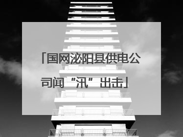 国网泌阳县供电公司闻“汛”出击
