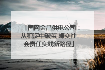 国网金昌供电公司：从积淀中破茧 蝶变社会责任实践新路径