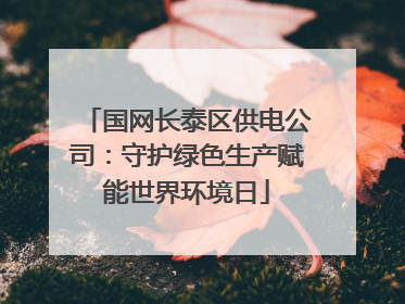 国网长泰区供电公司：守护绿色生产赋能世界环境日
