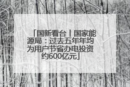 国新看台丨国家能源局：过去五年年均为用户节省办电投资约600亿元
