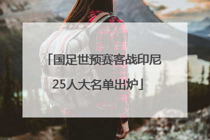 国足世预赛客战印尼25人大名单出炉