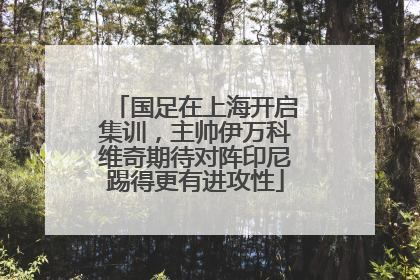 国足在上海开启集训，主帅伊万科维奇期待对阵印尼踢得更有进攻性
