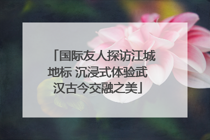 国际友人探访江城地标 沉浸式体验武汉古今交融之美