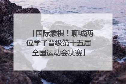 国际象棋！聊城两位学子晋级第十五届全国运动会决赛