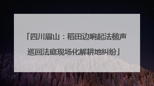 四川眉山：稻田边响起法槌声 巡回法庭现场化解耕地纠纷